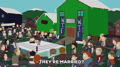 South Park gif. Crowd surrounds Eric and Jimmy who talk inside a wrestling ring in front of a lime green barn with flags that read, "WTF." Text, "They're married? You will have to forfeit the fight, Rad Russian! You cannot fight until your test results come back.