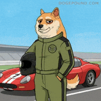 Posing Shiba Inu GIF by Doge Pound