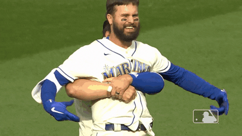 Major League Baseball Win GIF by MLB