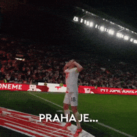 Party Celebrate GIF by SK Slavia Praha