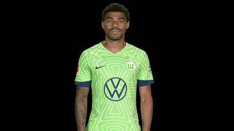 Bundesliga No GIF by VfL Wolfsburg