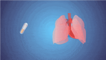 medicine lungs GIF by Harvard Medical School