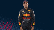 Red Bull Sport GIF by Red Bull Racing Honda