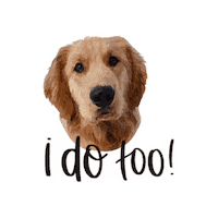I Do Too Golden Retriever Sticker