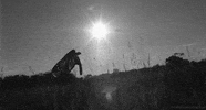 black and white butterfly GIF by Head Like an Orange