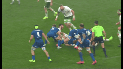 lorenzocalamai giphyupload GIF