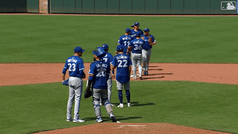 Blue Jays Win GIF by Toronto Blue Jays
