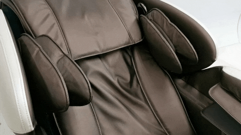 xhinnie giphygifmaker GIF