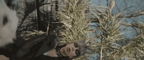 Life On Earth GIF by Hurray For The Riff Raff