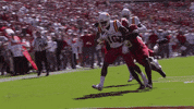 cyclonestv celebration murdock GIF