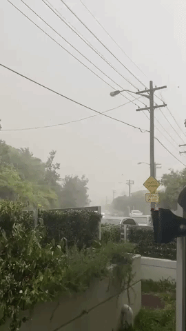 'Did a Hurricane Just Come Through?': Flash Storm Hits Sydney