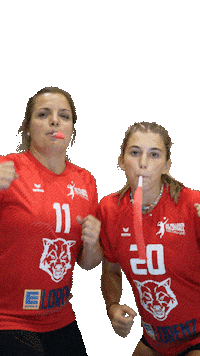 Volleyball Svf Sticker by Rotes Rudel