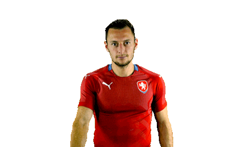Czech Republic Ceskarepre Sticker by 2score