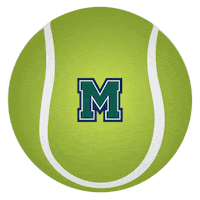 Hurstathletics Sticker by MercyhurstU
