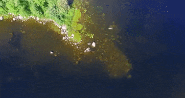 maine GIF