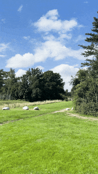 Travel City GIF