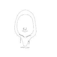 Logo Sj Sticker by Stefan Justen