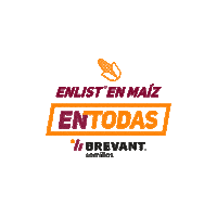 Campo Soja Sticker by cortevaarg