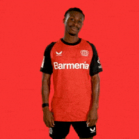 I Love You Heart GIF by Bayer 04 Leverkusen