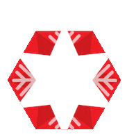 Christmas Star Price Sticker by Bravo Supermarket
