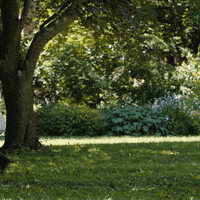 Work It GIF by NETFLIX