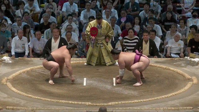 TZ85 giphyupload sumo 2023 nagoya basho wakamotoharu GIF