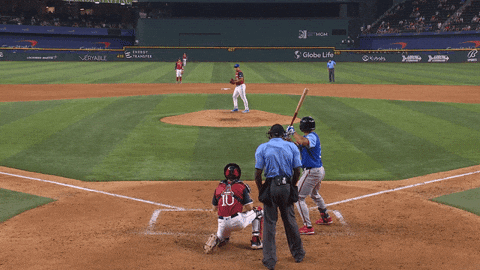 Blue Jays Sport GIF by Toronto Blue Jays