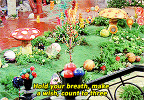 willy wonka and the chocolate factory GIF