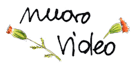 blossomzine fiori nuovo video blossomzine blossom zine Sticker