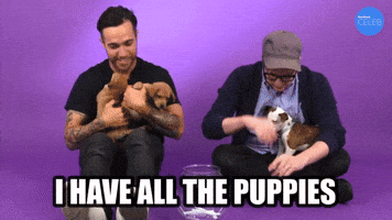 All The Puppies