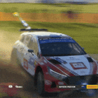 Drift Driving GIF by FIA European Rally Championship