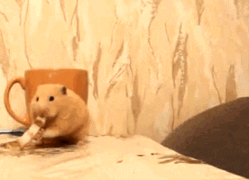 Stay Eating GIF