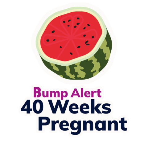 Pregnancy 40 Weeks Sticker by The Bump