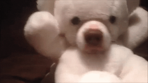 hungry bear GIF