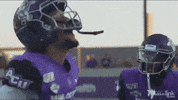 ACUFootball abilene christian gowildcats acufootball GIF