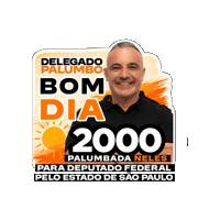 Bom Dia Sticker by Delegado Palumbo