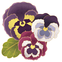 daturastore datura Sticker