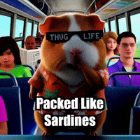 Commute Rushhour GIF by Guinea Gambino