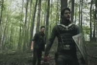 Did You Hear That GIF