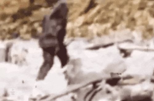 Bigfoot walking away