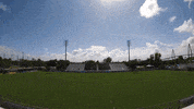 South Carolina Football GIF by Charleston Battery