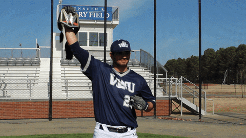 vwu_marlins giphyupload marlins vwu wethebeach GIF