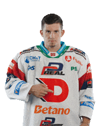 Hockey Czech Sticker by HC Dynamo Pardubice