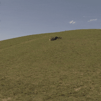 Get Away Lol GIF by Martha of Miami