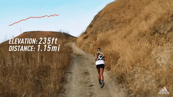 A Beginnerβs Guide | How To Trail Run