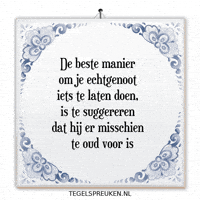Humor Nl GIF by Tegelspreuken.nl