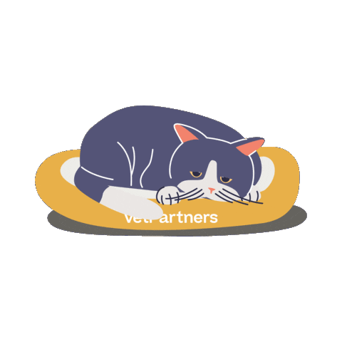 Sleepy Cat Sticker by VetPartners