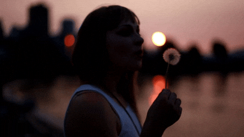 fundrunkwriter giphyupload GIF