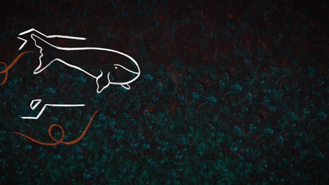 greenpeaceap giphygifmaker GIF