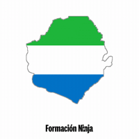 Sierra Leone Flag GIF by Formación Ninja